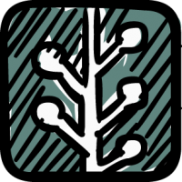 Icons NewtworkFreehand Image