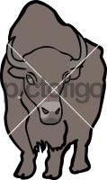 American Bison BuffaloFreehand Image