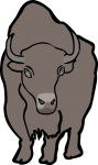 American Bison Buffalo freehand drawings