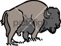 American bison buffaloFreehand Image