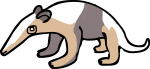 Anteater