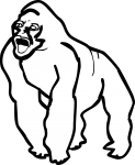 Ape