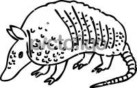 Armadillo