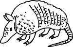 Armadillo freehand drawings
