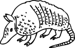 Armadillo