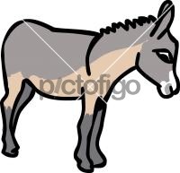 Ass donkeyFreehand Image