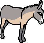 Ass donkey
