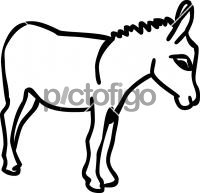 Ass donkeyFreehand Image