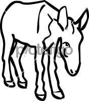 Ass donkeyFreehand Image