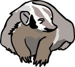 Badger freehand drawings