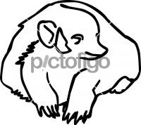 BadgerFreehand Image