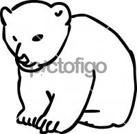 BearFreehand Image