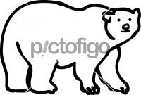 BearFreehand Image