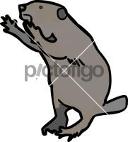 BeaverFreehand Image