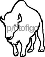 BisonFreehand Image