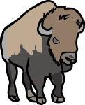 Bison