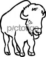 BisonFreehand Image