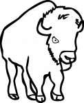 Bison freehand drawings