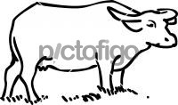 BuffaloFreehand Image