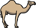 Camel freehand drawings