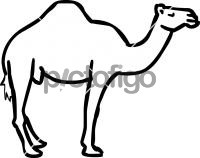 CamelFreehand Image