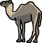 Camel