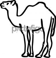 CamelFreehand Image