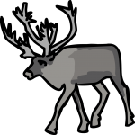 Caribou freehand drawings