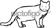 CatFreehand Image