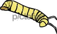 CaterpillarFreehand Image