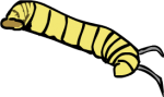 Caterpillar