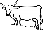 Cattle freehand drawings