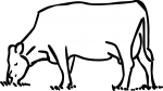 Cattle freehand drawings