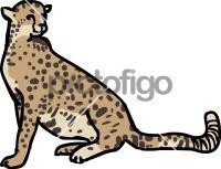 CheetahFreehand Image