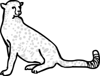 CheetahFreehand Image