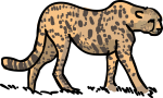 Cheetah freehand drawings