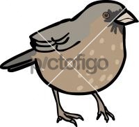 Aberts TowheeFreehand Image