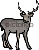 DeerFreehand Image