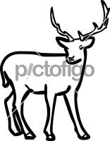 DeerFreehand Image