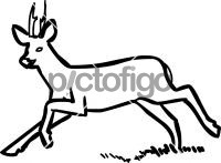 DeerFreehand Image