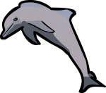 Dolphin freehand drawings