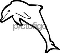 DolphinFreehand Image