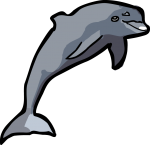 Dolphin freehand drawings