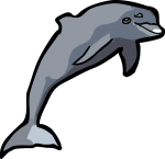 Dolphin