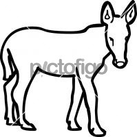 DonkeyFreehand Image