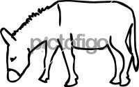 DonkeyFreehand Image