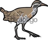 Barred Rail