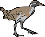 Barred Rail