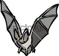 Bat