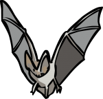 Bat freehand drawings